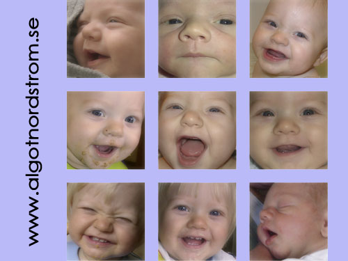 Algot Nordstr&ouml;m